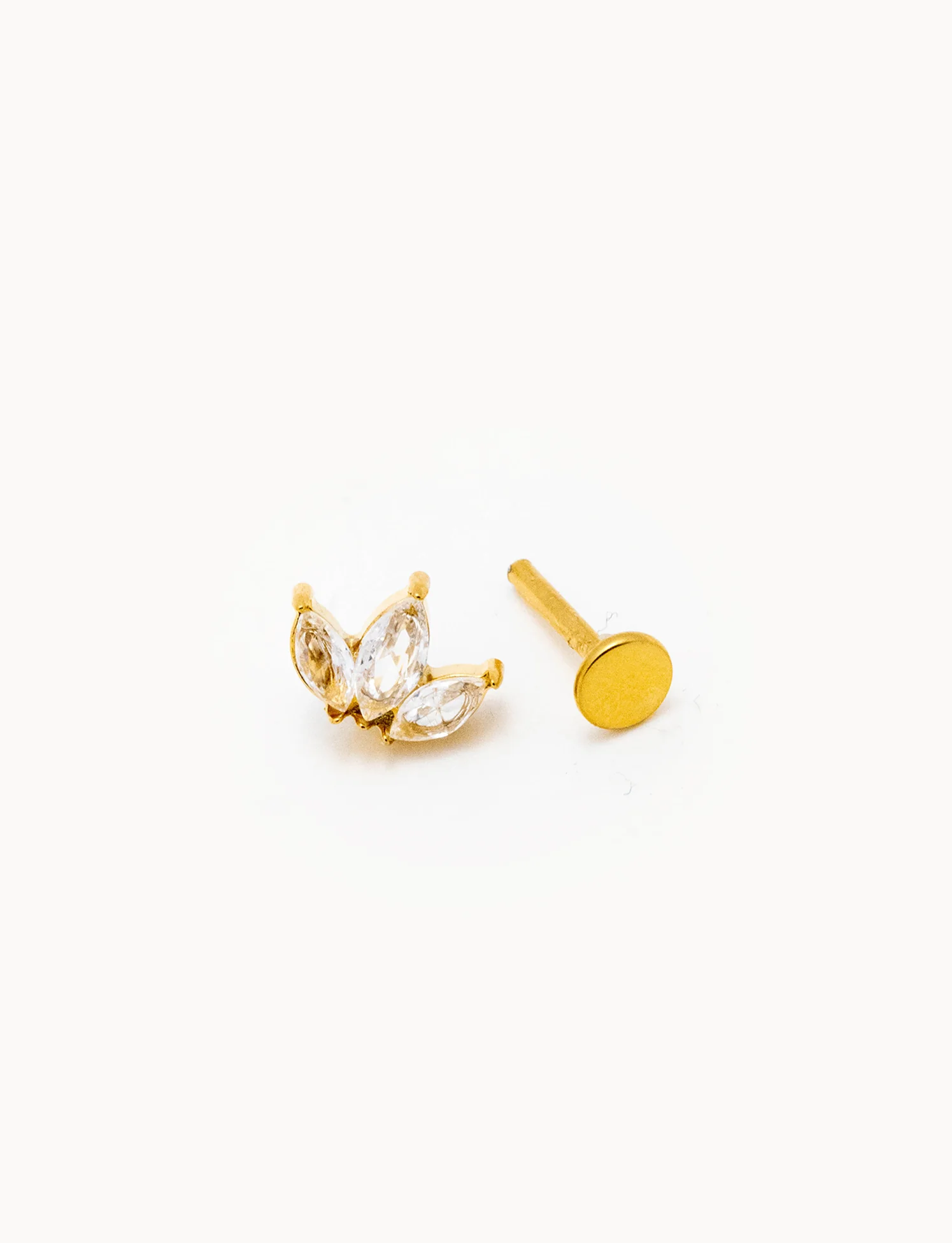 Piercing Loto - Image 2